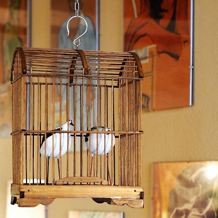 Chambres D'Hotes Le Secret Du Chat Cordes-sur-Ciel Exterior photo